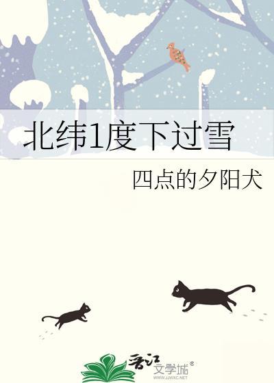 北纬1度下过雪封面