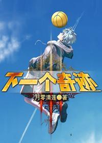 下一个奇迹封面