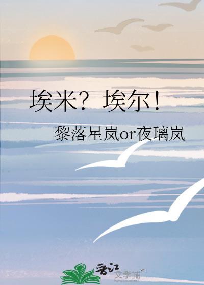 埃米？埃尔！封面