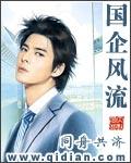 国企风流封面