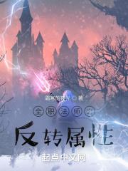 全职法师之反转属性封面