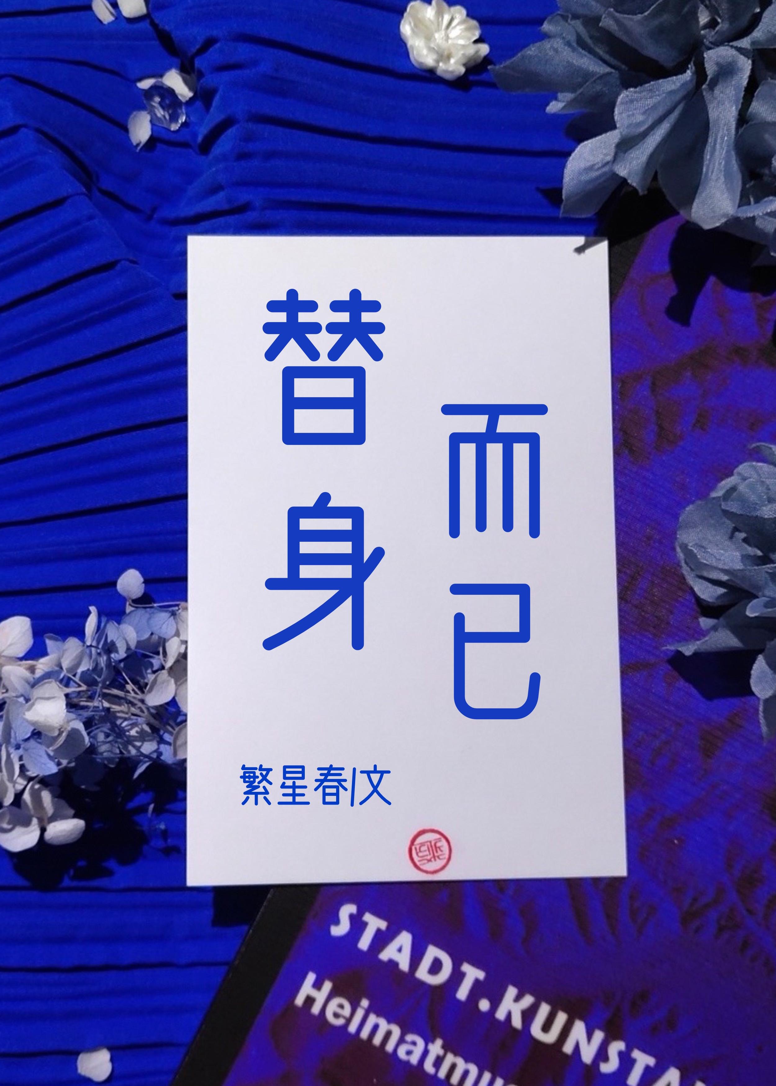 替身而已封面