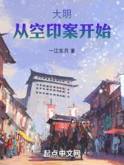 大明，从空印案开始封面