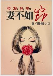 妻不如窃封面