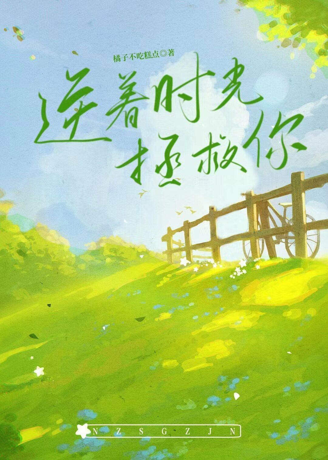逆着时光拯救你封面