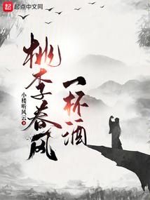 桃李春风一杯酒封面