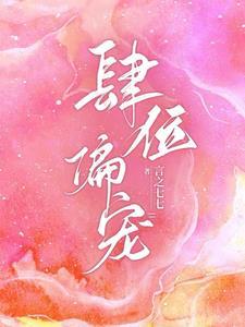 肆位偏宠封面