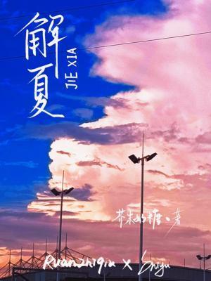 解夏封面