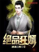 绝品狂婿封面