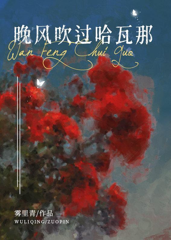 晚风吹过哈瓦那封面