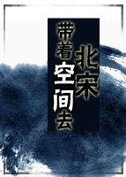 带着空间去北宋封面