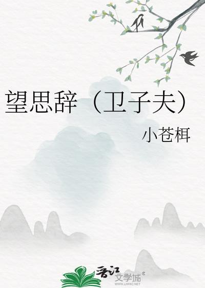 望思辞（卫子夫）封面