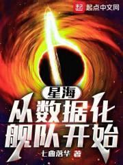星海，从数据化舰队开始封面