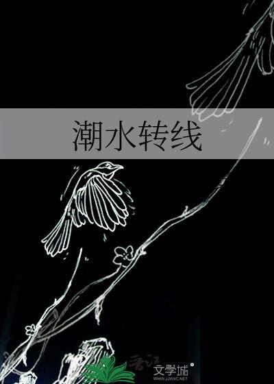 潮水转线封面