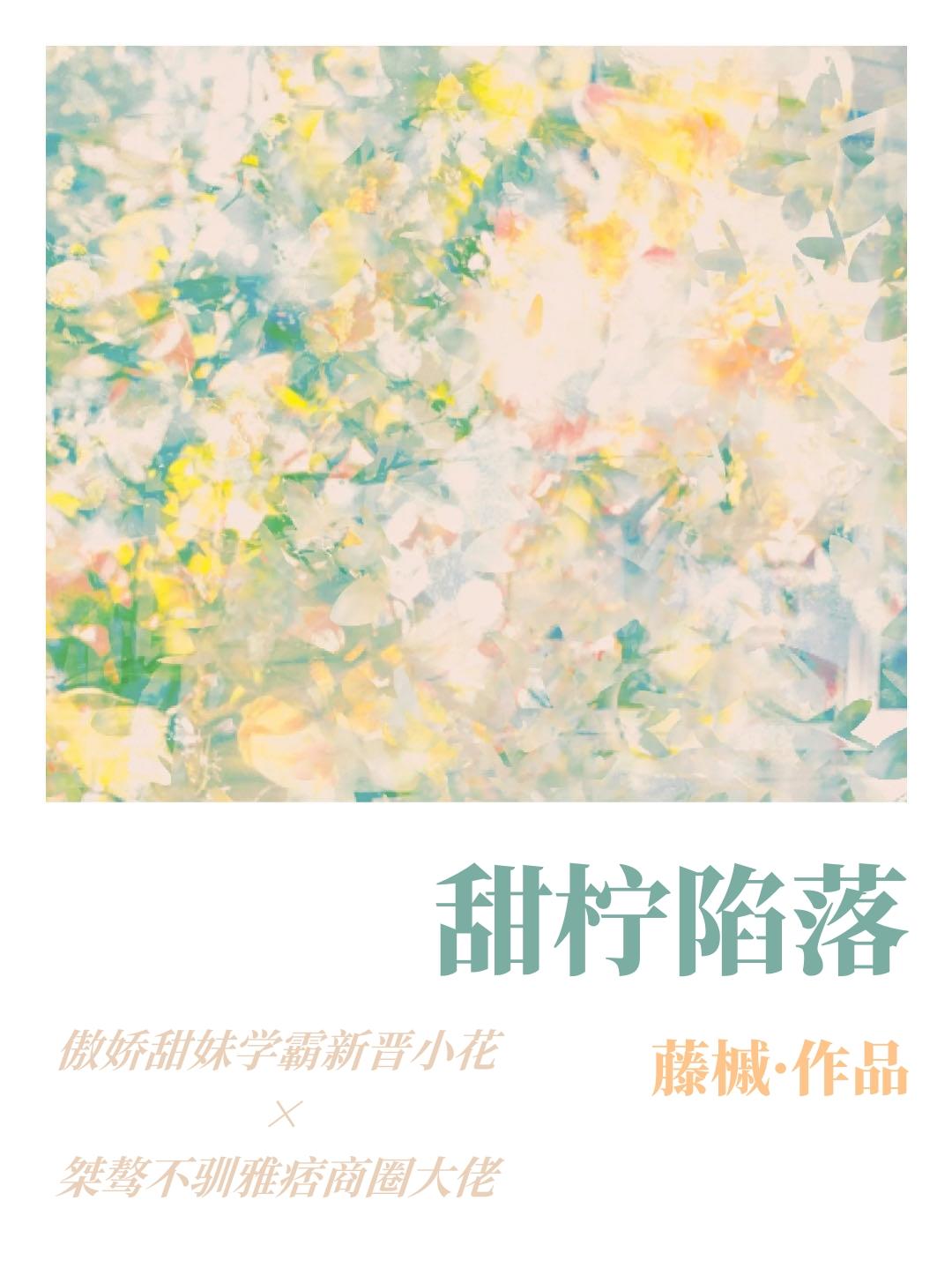 甜柠陷落[娱/先婚]封面