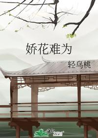 娇花难为封面