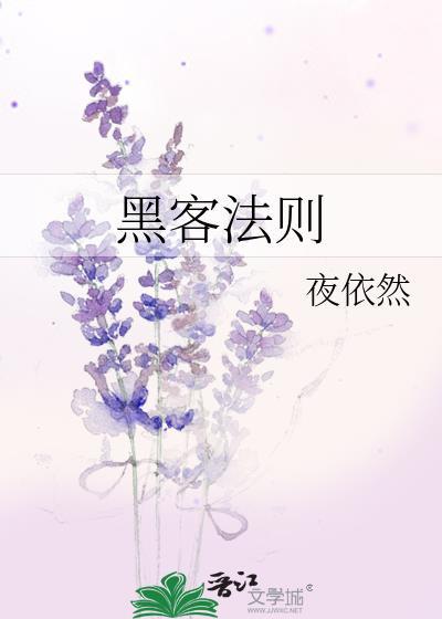 黑客法则封面