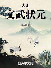 大明：文武状元封面