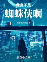 我真不是蜘蛛侠啊封面