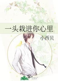 一头栽进你心裏封面