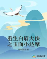 重生白眉大侠之玉面小达摩封面
