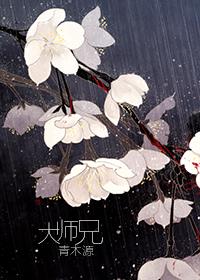 大师兄封面