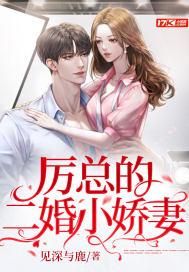 厉总的二婚小娇妻封面