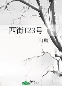 西街123号封面