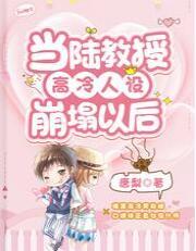 当陆教授高冷人设崩塌以后封面