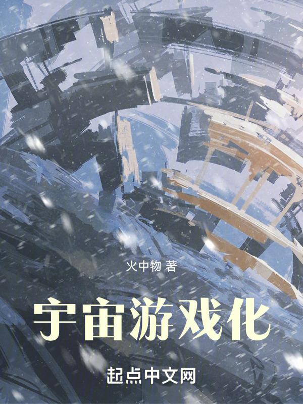 宇宙游戏化封面
