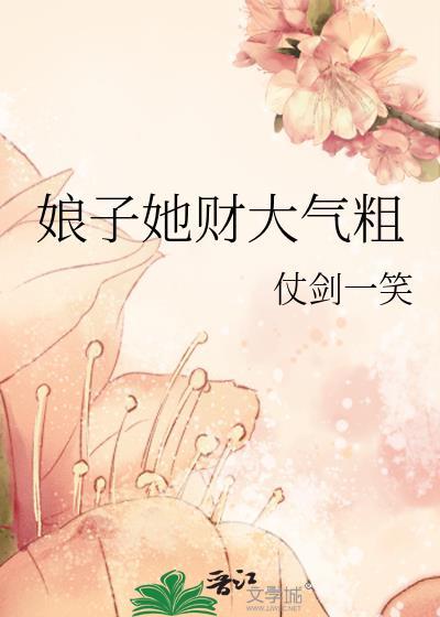 娘子她财大气粗封面