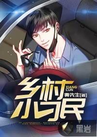 乡村小刁民封面