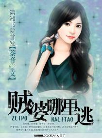 贼婆哪裏逃封面