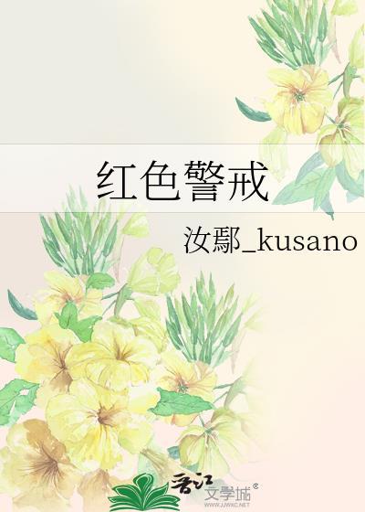 红色警戒封面