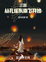 三国从孔雀东南飞开始封面