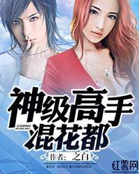神级高手混花都封面