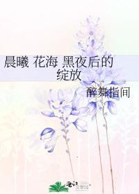 晨曦 花海 黑夜后的绽放封面