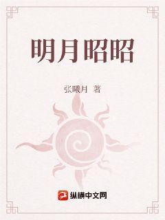 明月昭昭封面