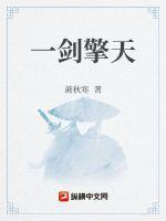 一剑擎天封面