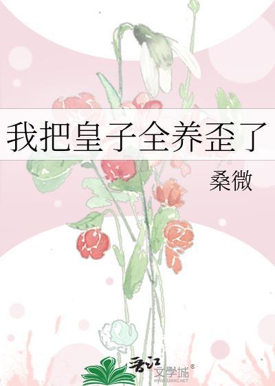 我把皇子全养歪了封面