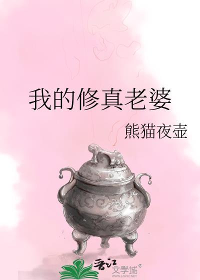 我的修真老婆封面