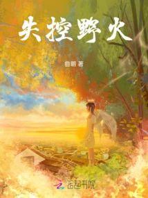 失控野火封面