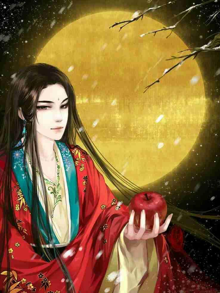 穿越之哥儿为妻封面