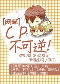 『网配』CP不可逆封面