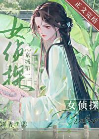 AAA京城第一侦探封面