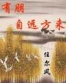 有朋自远方来封面