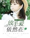 伊然许放封面