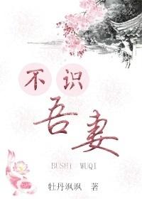 不识吾妻封面