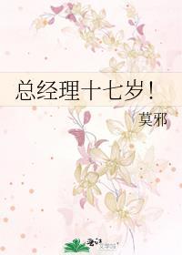 总经理十七岁！封面