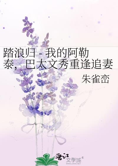 踏浪归 - 我的阿勒泰，巴太文秀重逢追妻火葬场封面